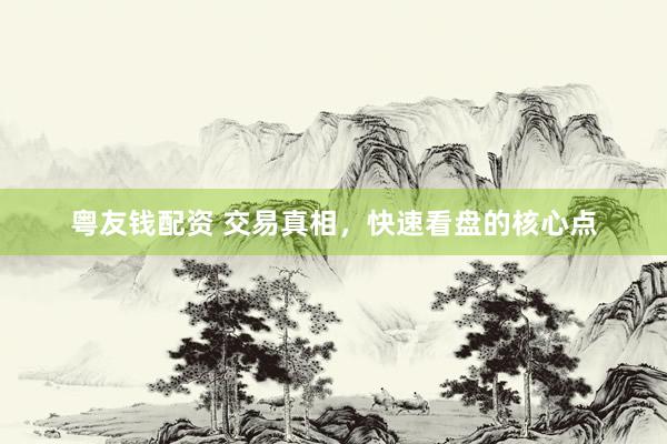 粤友钱配资 交易真相，快速看盘的核心点