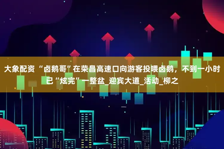 大象配资 “卤鹅哥”在荣昌高速口向游客投喂卤鹅，不到一小时已“炫完”一整盆_迎宾大道_活动_柳之