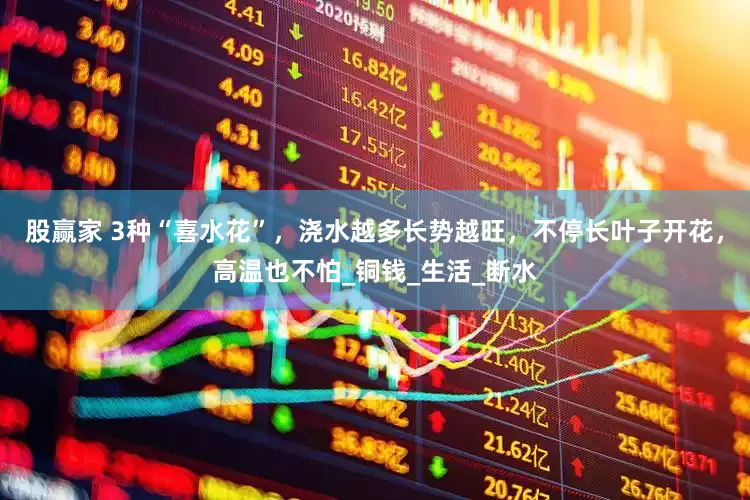 股赢家 3种“喜水花”，浇水越多长势越旺，不停长叶子开花，高温也不怕_铜钱_生活_断水